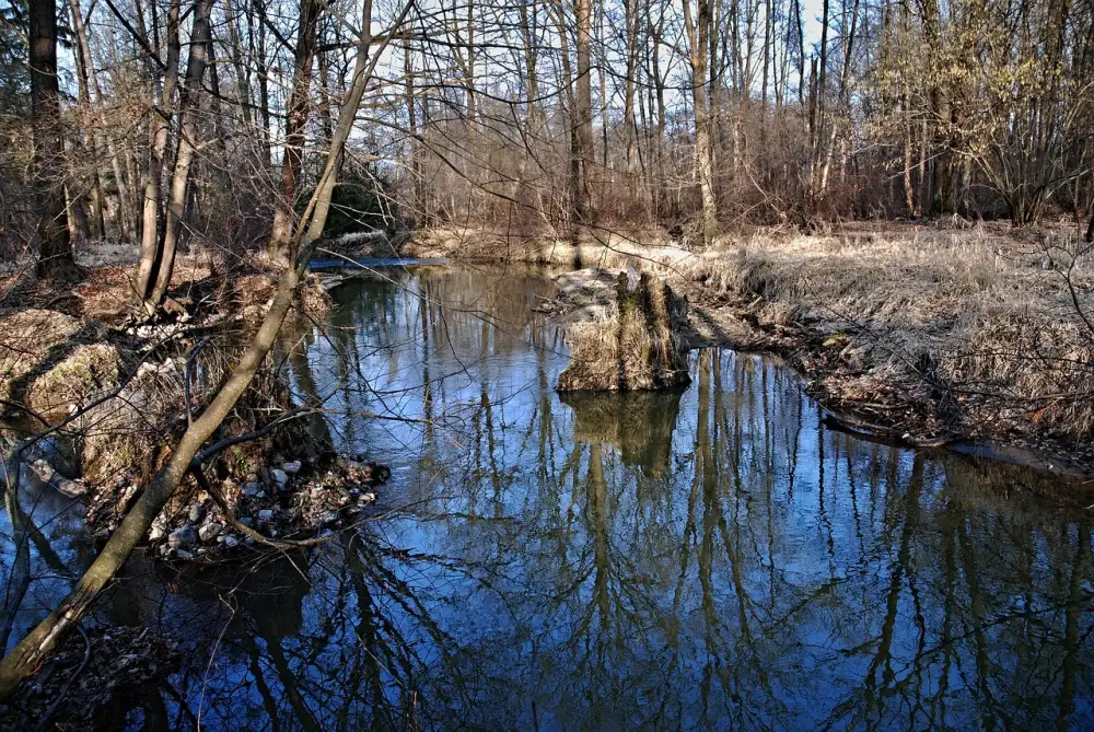 Kordula Stropnická